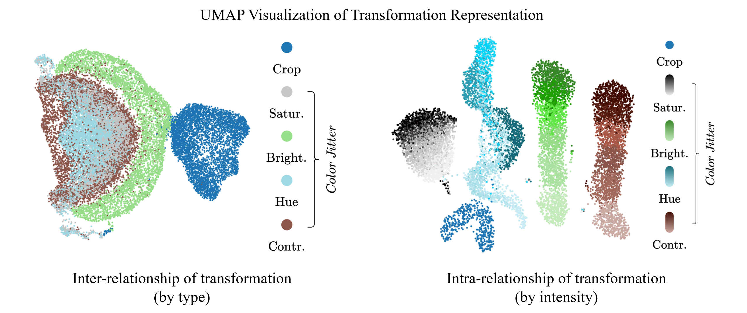 TransRepr